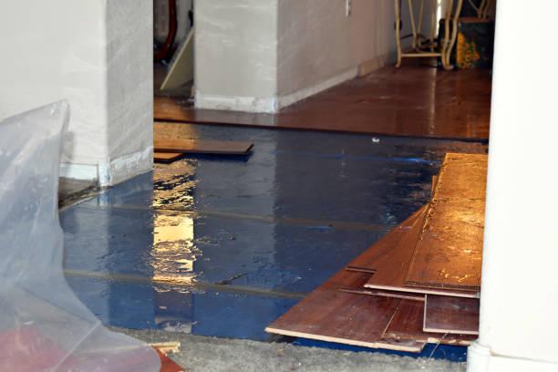 Professional Flood Damage Repair technician working in Raymond, CA
